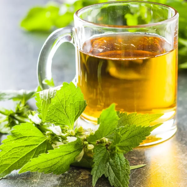 Moringa kopřiva čaj - Image 2